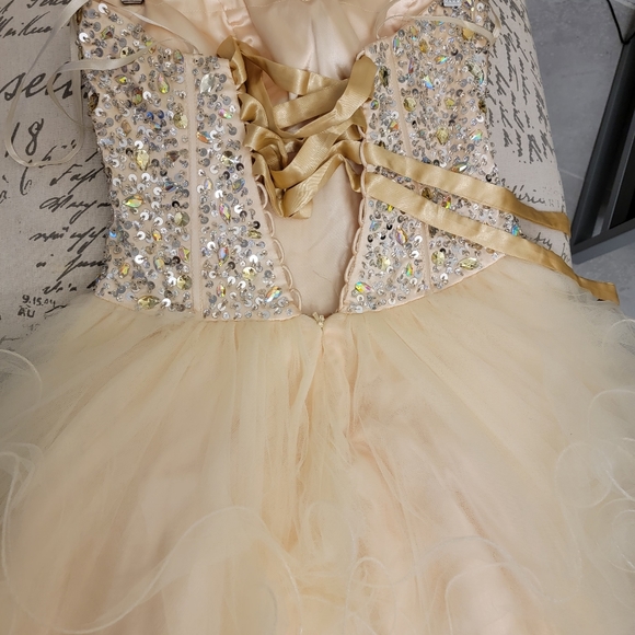 Peach Prom / Pageant dress size 6, custom made. Petite - Picture 4 of 4